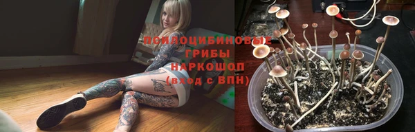 шишки Лабытнанги