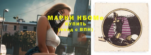 шишки Лабытнанги