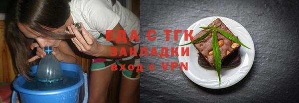 шишки Лабытнанги