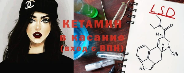 шишки Лабытнанги