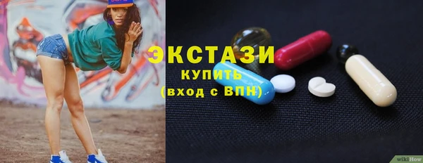 шишки Лабытнанги