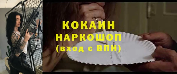 шишки Лабытнанги