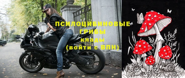 эйфоретик Ладушкин