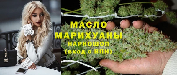 шишки Лабытнанги