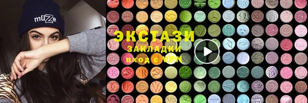шишки Лабытнанги