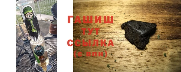 шишки Лабытнанги