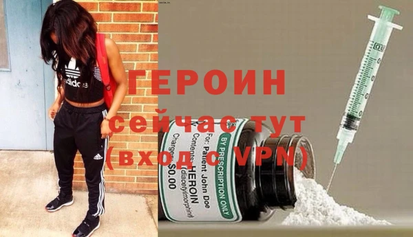 шишки Лабытнанги