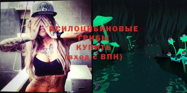 эйфоретик Ладушкин