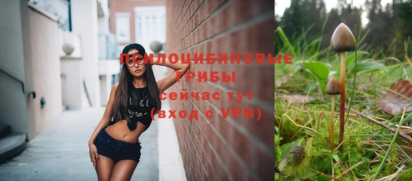 эйфоретик Ладушкин