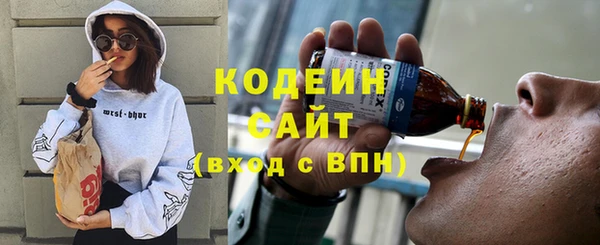 шишки Лабытнанги