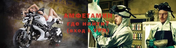 шишки Лабытнанги