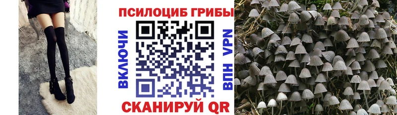 Псилоцибиновые грибы мицелий  kraken сайт  Балашиха  наркота 